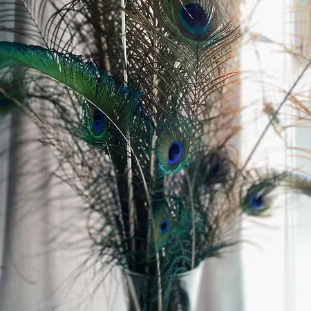 Lejlighed Igoaparts Wroblewskiego