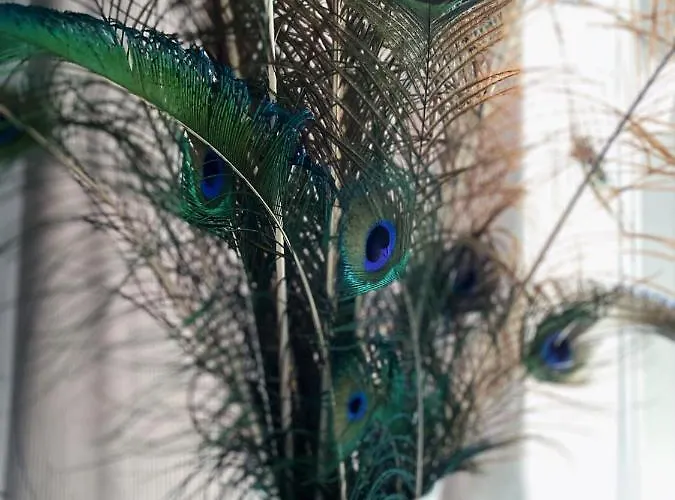 Lägenhet Igoaparts Wroblewskiego