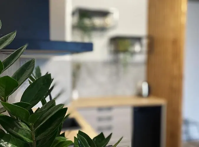 Igoaparts Wroblewskiego Lägenhet Łódź