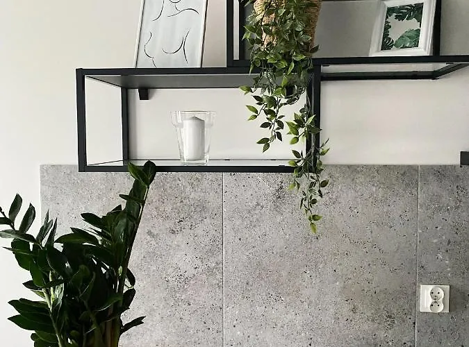 Igoaparts Wroblewskiego Lägenhet *